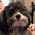 Ann Dotson's profile image