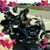 Teri Netschke's profile image
