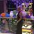 Rachel Thorpe's profile image