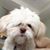 Merline Hathcoat's profile image