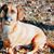 Susan Pierce's profile image