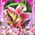 Lisa Stanat Johnston's profile image