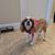 Ivette Pozek's profile image