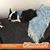Lori Graybill's profile image