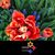 Karen Shaw Dickieson's profile image