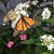 Sarah Clark Bromley's profile image