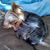 Debbie Penny George's profile image