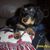 Steven E Worsham's profile image