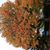 Andrea Haggard's profile image