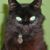 Paul David Simmonds's profile image