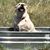 Laura Tyler Evans's profile image