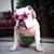 Star Ritchey's profile image
