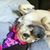 Donna Carmer's profile image