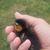 Andrew Curlin's profile image