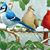 Deanna Meredith's profile image