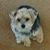 Elaine Cowden's profile image