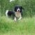 Sarah Richardson's profile image