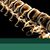 Inverfamily Chiro's profile image
