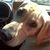 Shelly Russell Anastasio's profile image