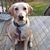 Gerry Doyon's profile image