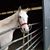 Betty Bianchi's profile image