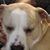 Faith Bright's profile image