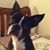 Minnie Ray's profile image