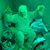 Joe Rayski's profile image