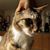 Michele Fold Sadler's profile image