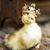 Beverly Kimball's profile image