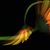 Barb Smith's profile image