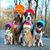 Gina Fratangelo's profile image