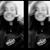 Megan Ashley's profile image