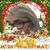 Allison Fair-glapinski's profile image
