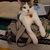 Kathy Larzelere's profile image