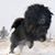 Mark McGill's profile image