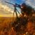 Jacob A. Whiteley's profile image