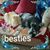 Patti Gehrig's profile image