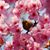 Rose Mary Hughes's profile image