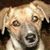 Buffy Armstrong's profile image