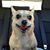 Keith Kawai's profile image