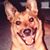 Mary Swinehart's profile image