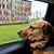 Theresa Heuser's profile image