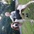 Brinton Bedillion's profile image