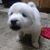 John Waite II's profile image