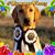 Shawna Dowd's profile image