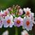 Cathie Ketterer's profile image