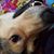 Mike Oisten's profile image