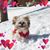 Brenda Schindler Linzmeier's profile image