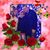 Josephine Hendrickson's profile image